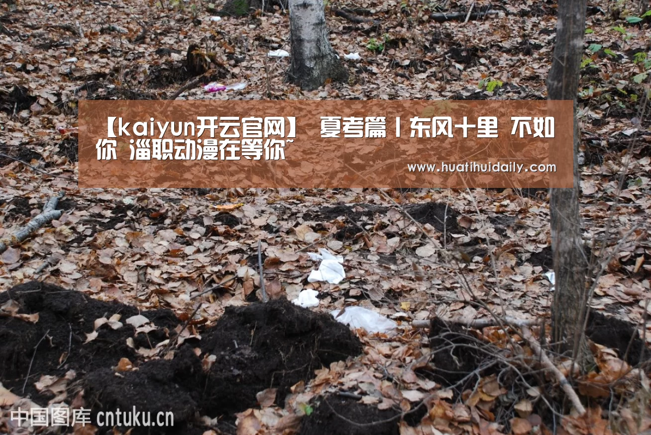 开云官网登录入口